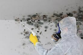 Best Residential Mold Inspection & Testing  in Boone, NC